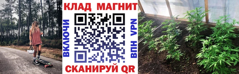 Все наркотики Дмитровск Героин  Псилоцибиновые грибы  ГАШИШ  Меф  СОЛЬ  КОКАИН 