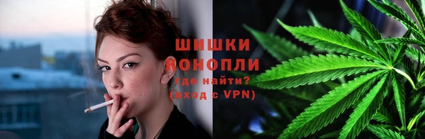 ГАЛЛЮЦИНОГЕННЫЕ ГРИБЫ Белокуриха