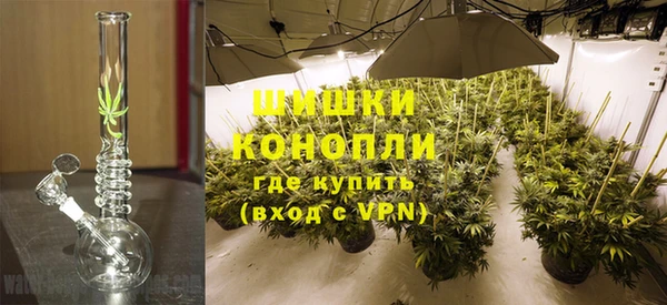 ГАЛЛЮЦИНОГЕННЫЕ ГРИБЫ Богородицк