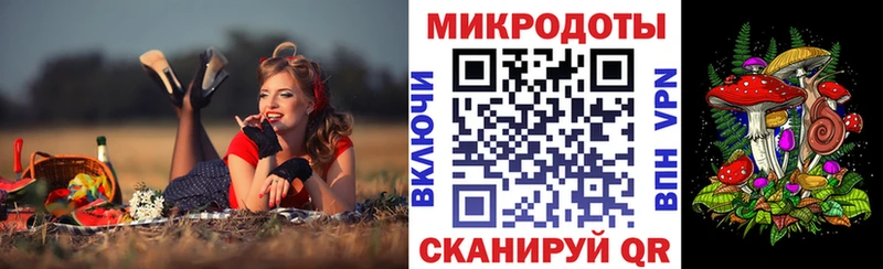 Псилоцибиновые грибы Psilocybe  где найти наркотики  Дмитровск 